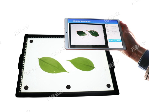 智能葉面積測量系統(tǒng) YMJ-CHA3