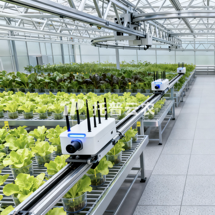 溫室巡軌式表型采集分析系統(tǒng)