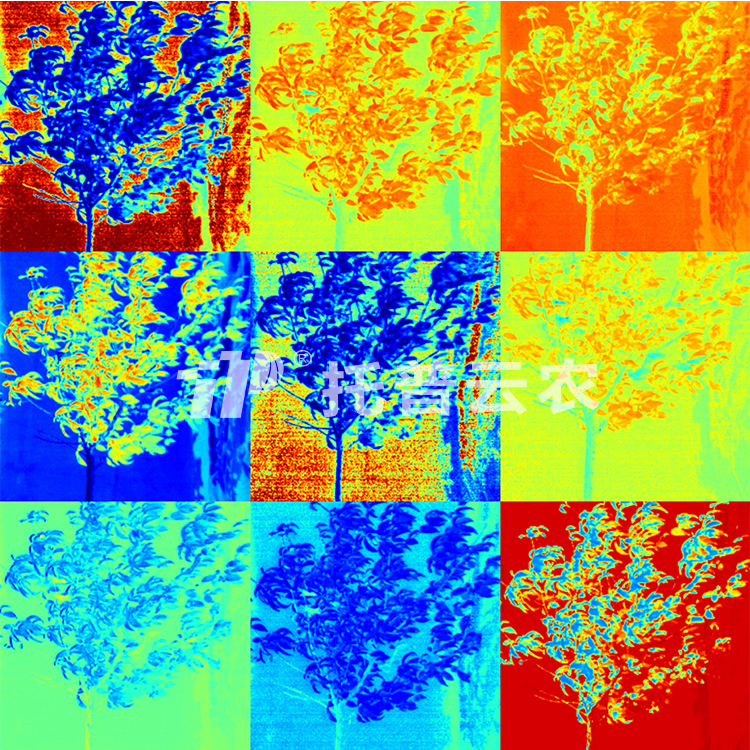 果樹解析圖2（水?。?jpg