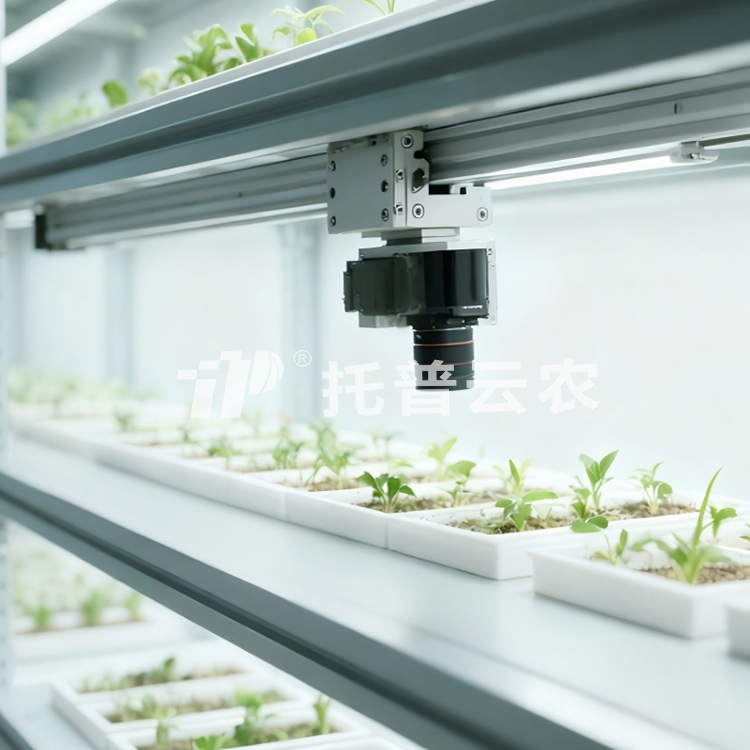 人工氣候室植物表型監(jiān)測(cè)系統(tǒng)TP-PlantR